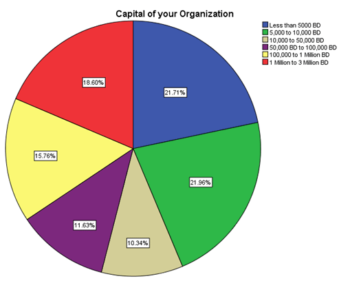 Figure 4. 6: Capital of SME's